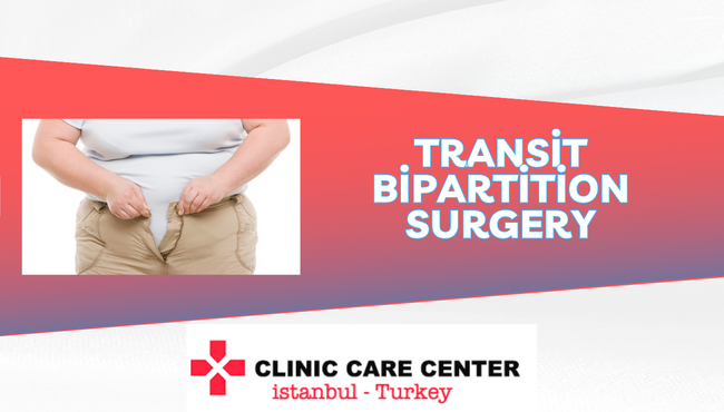 Transit Bipartition Surgery