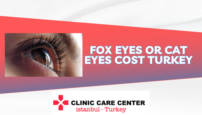 Fox Eyes or Cat Eyes cost in turkey cinic care center