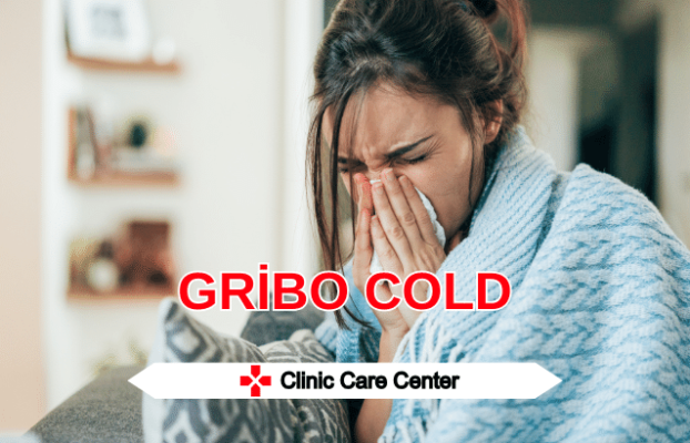 Gribo Cold Ne İşe Yarar Nasıl Kullanılır